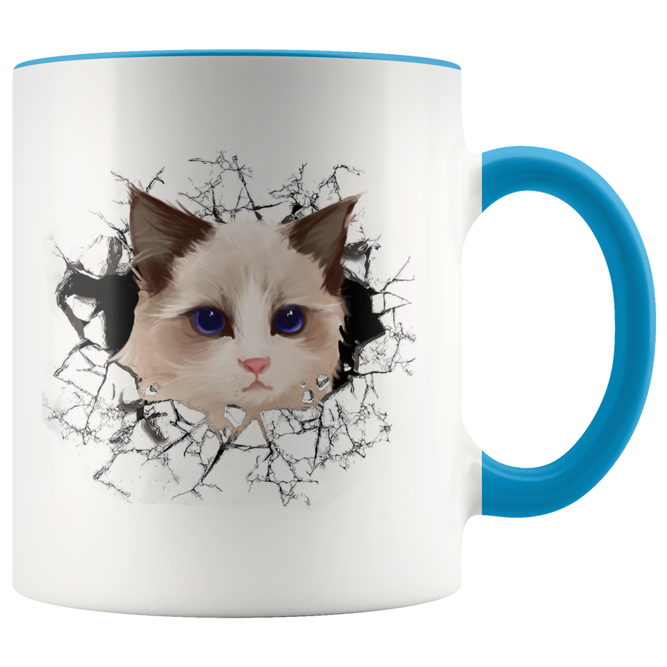 cat 107