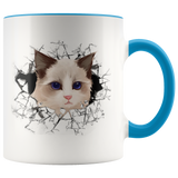 cat 107