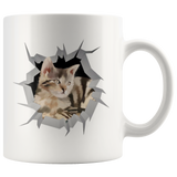 cat 33