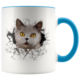 cat 104