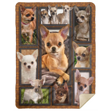 Chihuahua Dog Blanket, 3D Chihuahua Fleece, Sherpa Blanket - MSHL Premium Mink Sherpa Blanket 60x80
