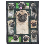 3D Pug Dog Blanket
