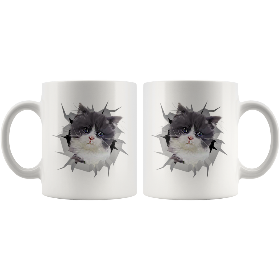 cat 4