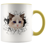 cat 107