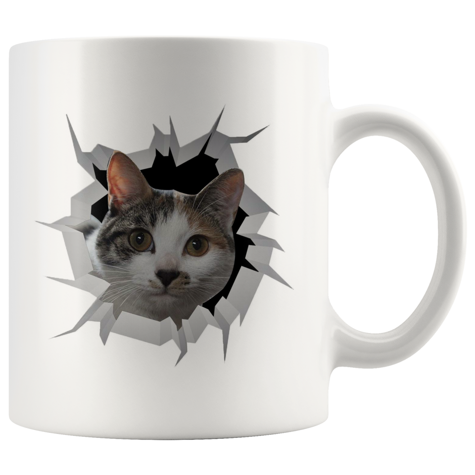cat 22