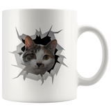cat 22