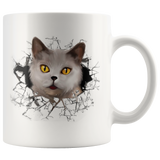 cat 104