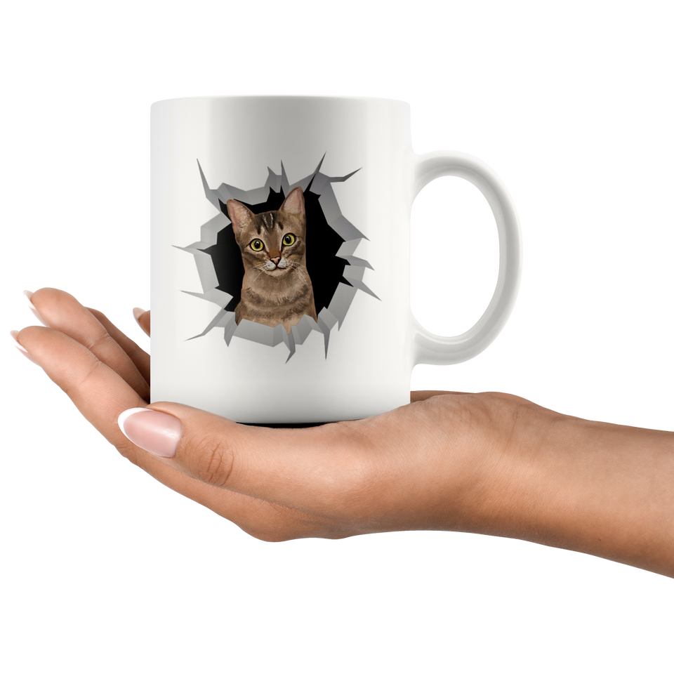 cat 31