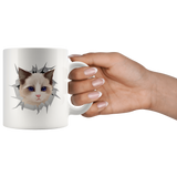 cat 2