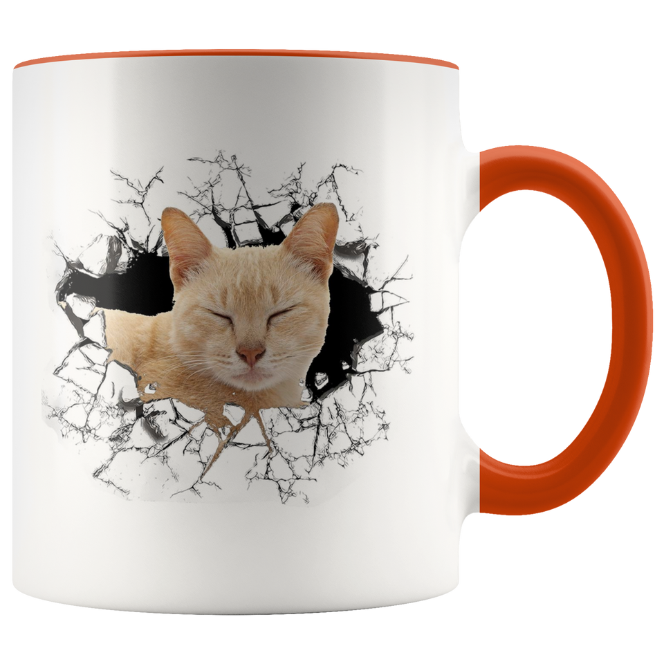 cat 111