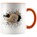 cat 111