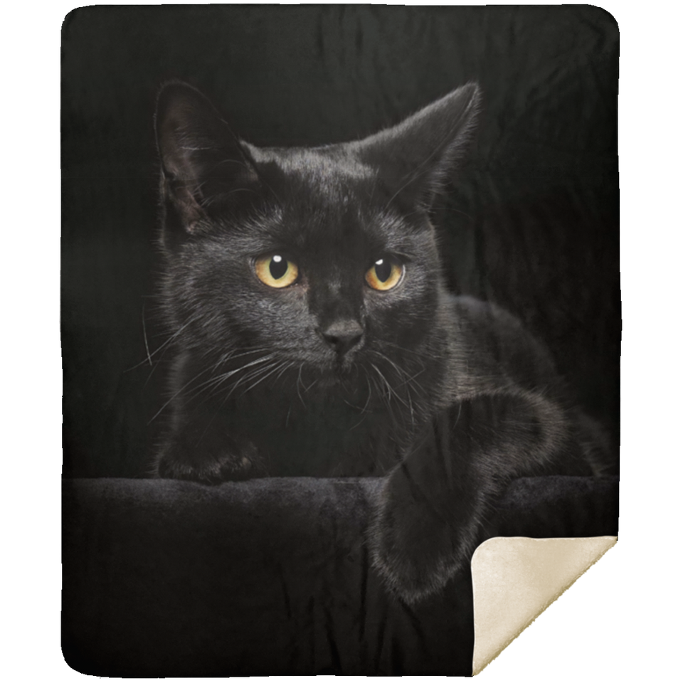 Black Cat Blanket Soft Fleece Sherpa Throw Blanket Gifts, Black Cat Quilt - MSHM Premium Mink Sherpa Blanket 50x60