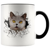 cat 104