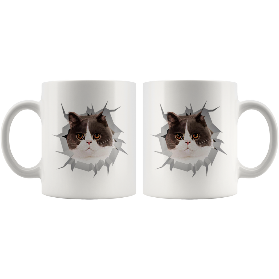 cat 43