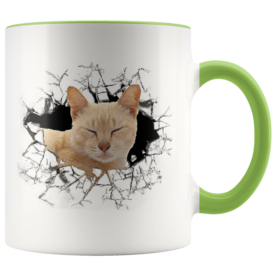 cat 111