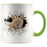 cat 111