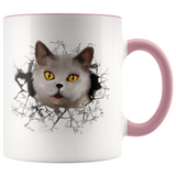 cat 104
