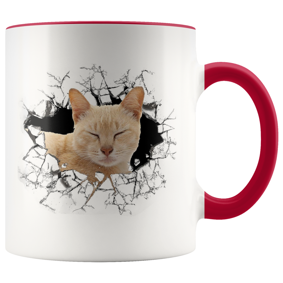 cat 111