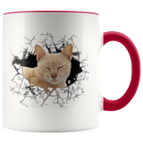 cat 111