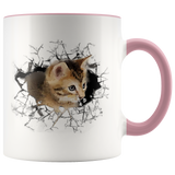 cat 105