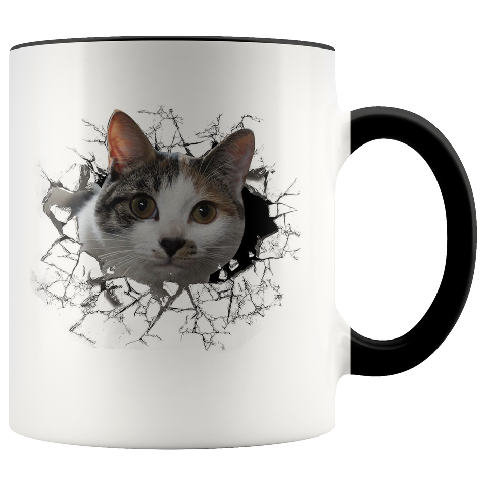 cat 102