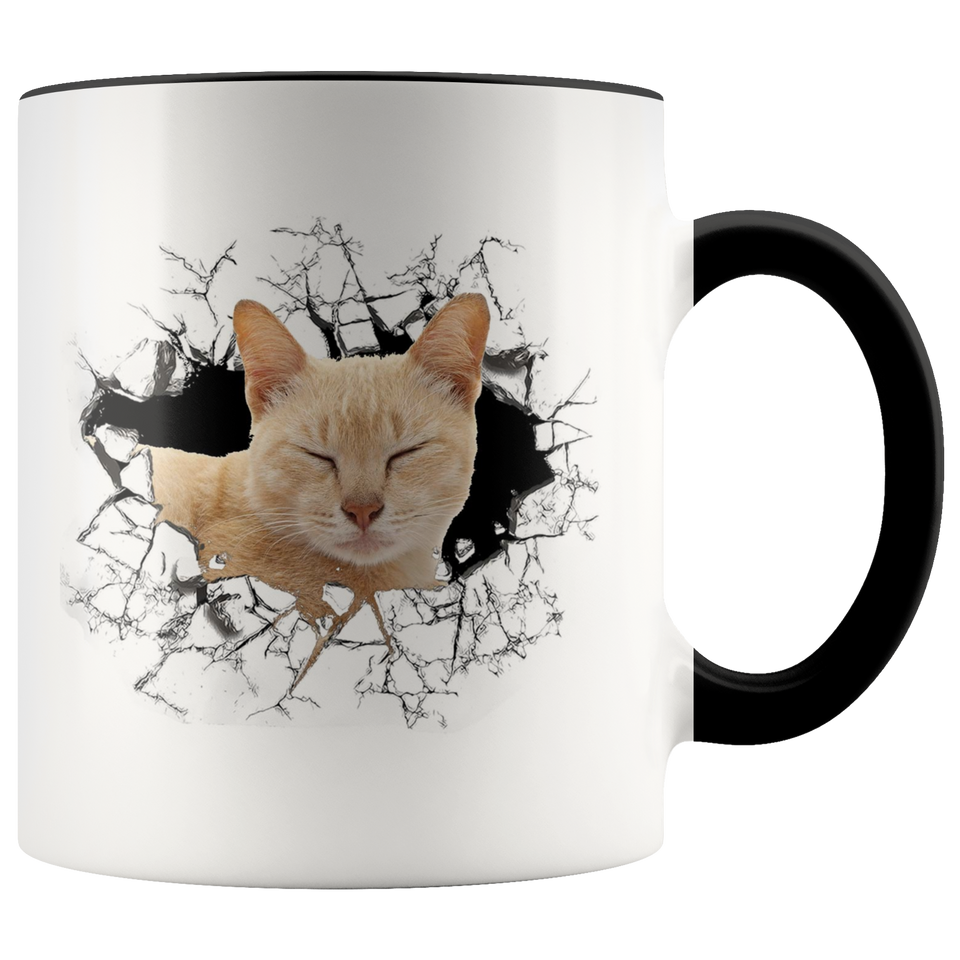 cat 111