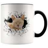 cat 111