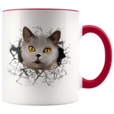 cat 104