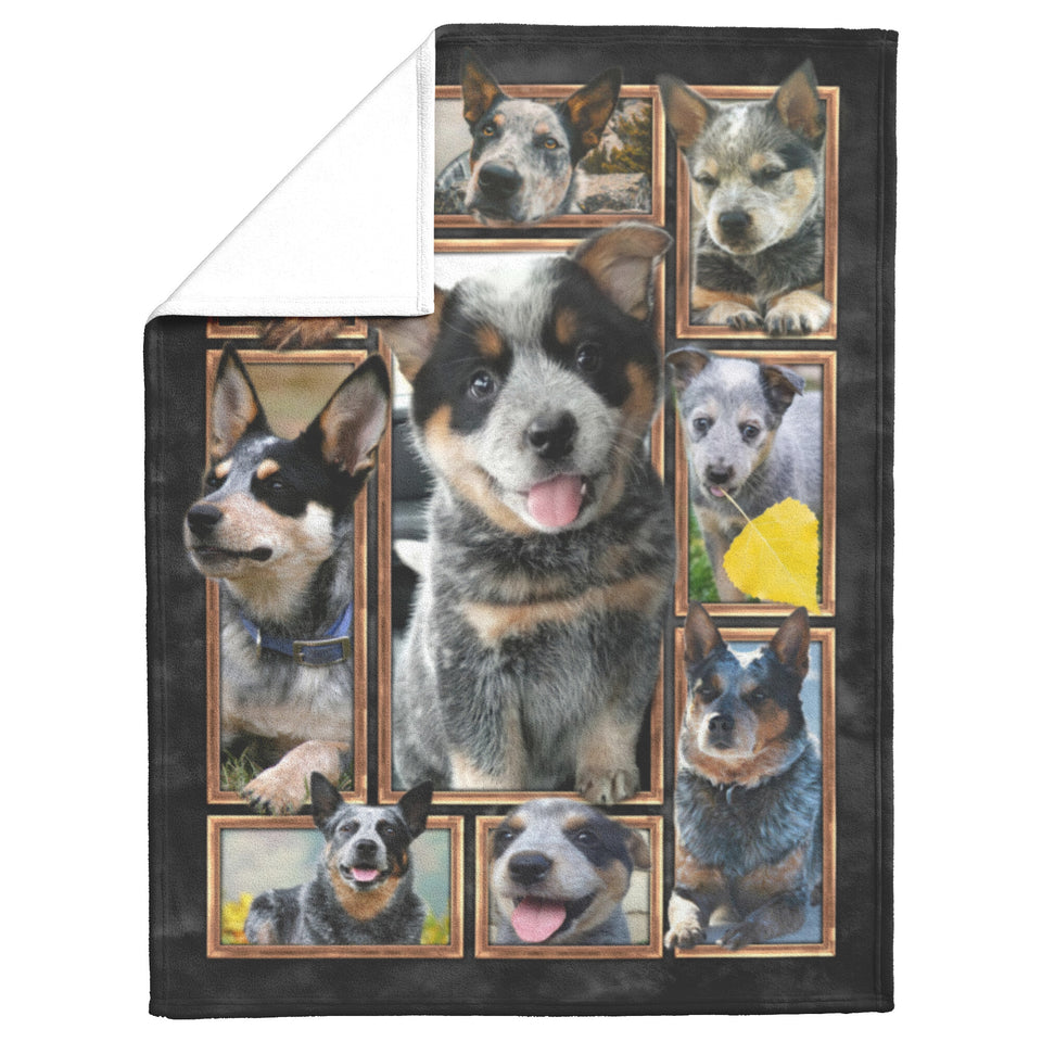 Australian Cattle Dog Blanket