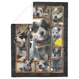 Australian Cattle Dog Blanket