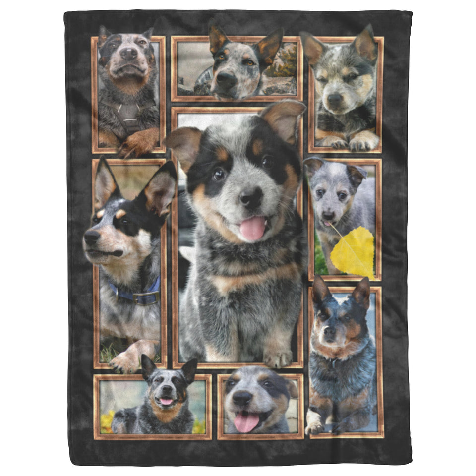 Australian Cattle Dog Blanket