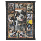 Australian Cattle Dog Blanket