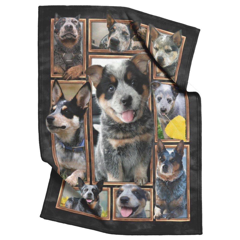 Australian Cattle Dog Blanket