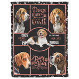 Beagle Dog Lying Down In Black Background 30x40