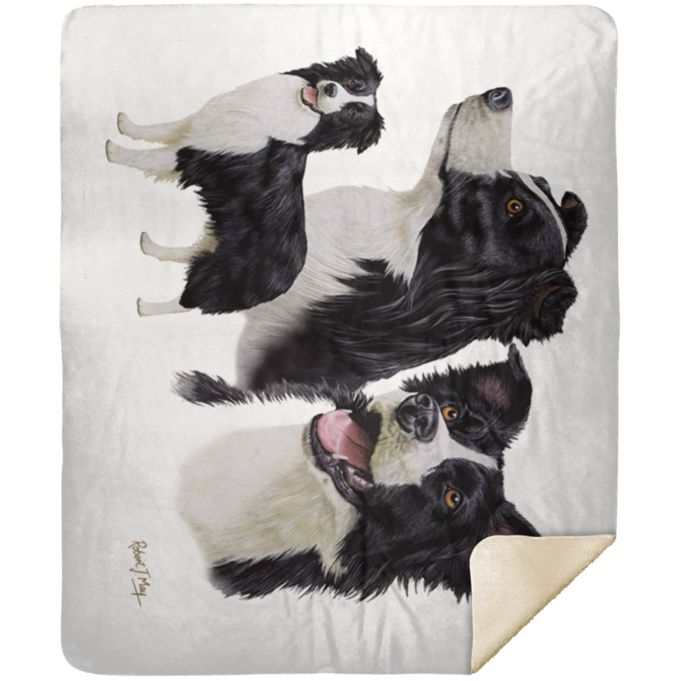 Border Collie Multi  - MSHM Premium Mink Sherpa Blanket 50x60