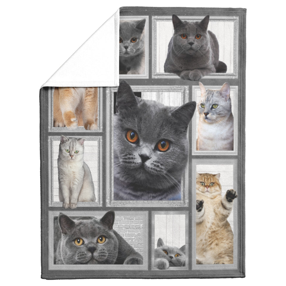 Cat Big Love With Cats Blanket
