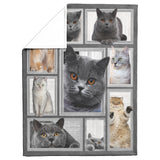 Cat Big Love With Cats Blanket