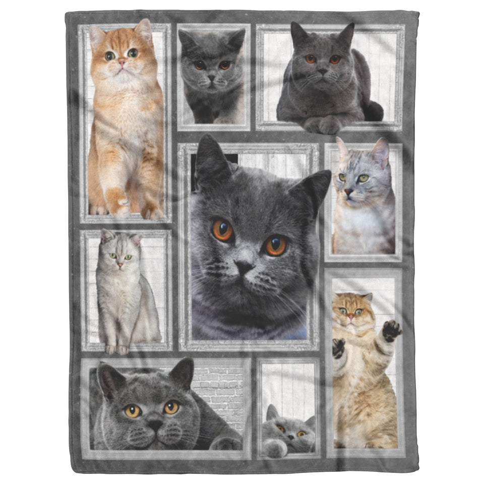 Cat Big Love With Cats Blanket