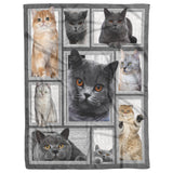 Cat Big Love With Cats Blanket