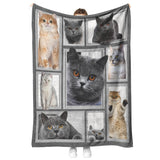 Cat Big Love With Cats Blanket
