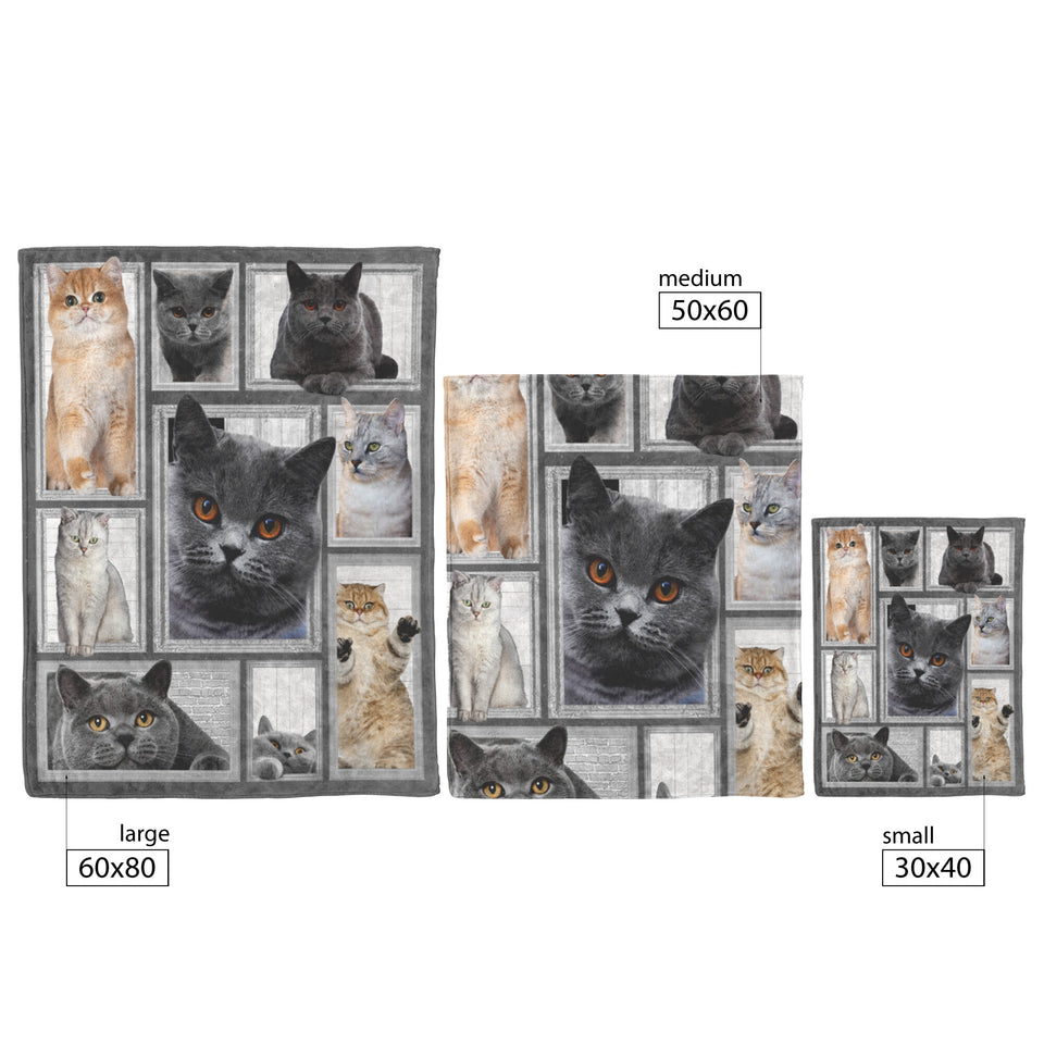 Cat Big Love With Cats Blanket