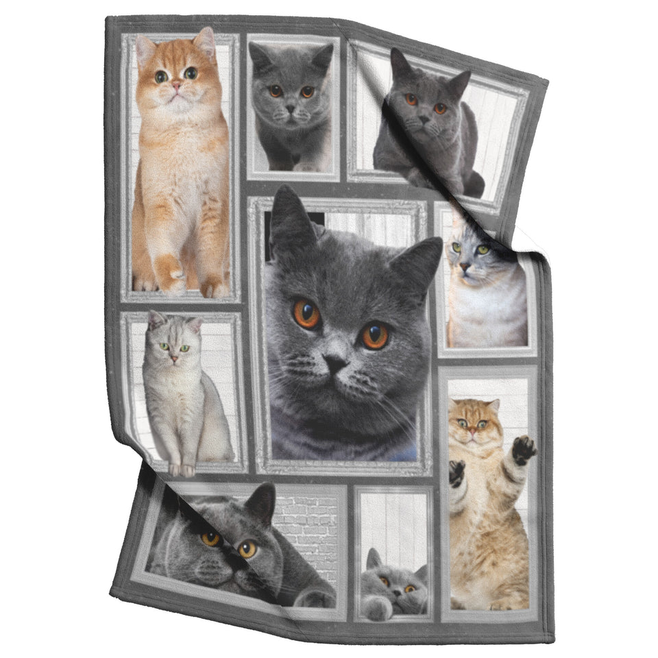 Cat Big Love With Cats Blanket