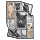 Cat Big Love With Cats Blanket
