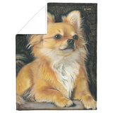 Chihuahua 30x40