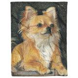 Chihuahua 30x40