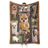 Chihuahua Dog Blanket