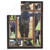 Cow Black Angus Calves Blanket Blanket