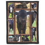 Cow Black Angus Calves Blanket Blanket