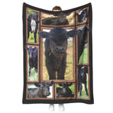 Cow Black Angus Calves Blanket Blanket