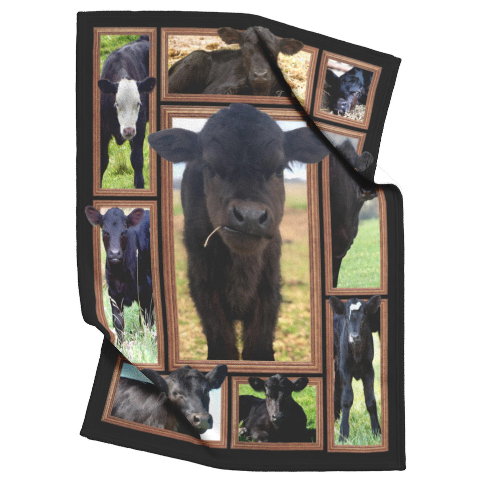 Cow Black Angus Calves Blanket Blanket